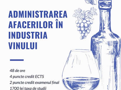 Program postuniversitar